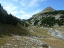 lignin_aout_2011_025.jpg
