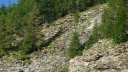 lignin_juillet_2016_031.JPG
