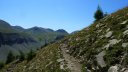 lignin_juillet_2016_141.JPG