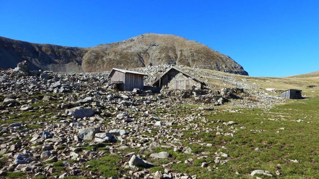 P1100631.JPG