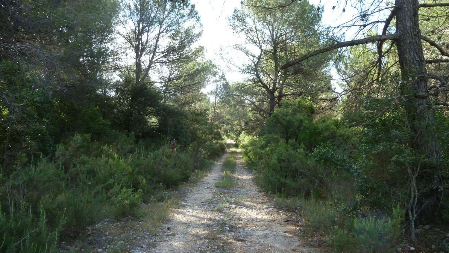 limate_juin_2018_035.JPG