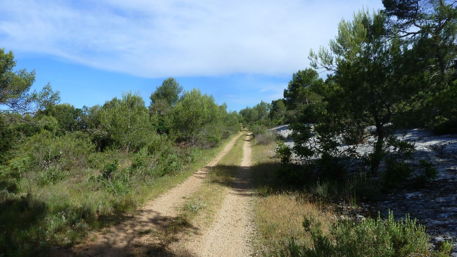 limate_juin_2018_037.JPG
