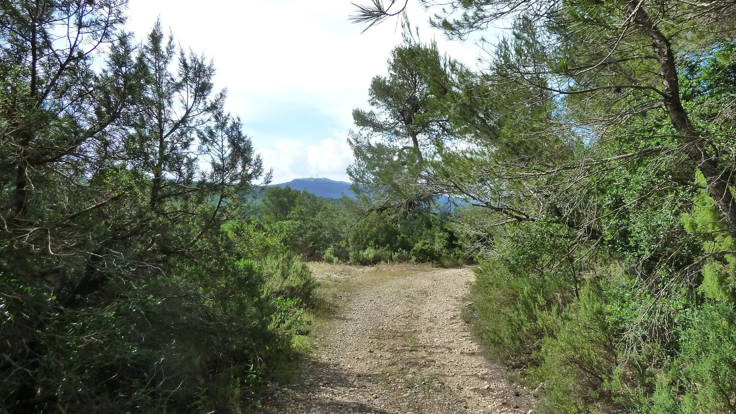 limate_juin_2018_069.JPG