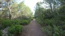 limate_juin_2018_021.JPG