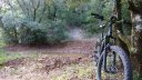 limate_juin_2018_025.JPG
