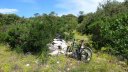 limate_juin_2018_065.JPG