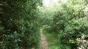 limate_juin_2018_067.JPG