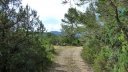 limate_juin_2018_069.JPG