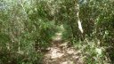 limate_juin_2018_071.JPG
