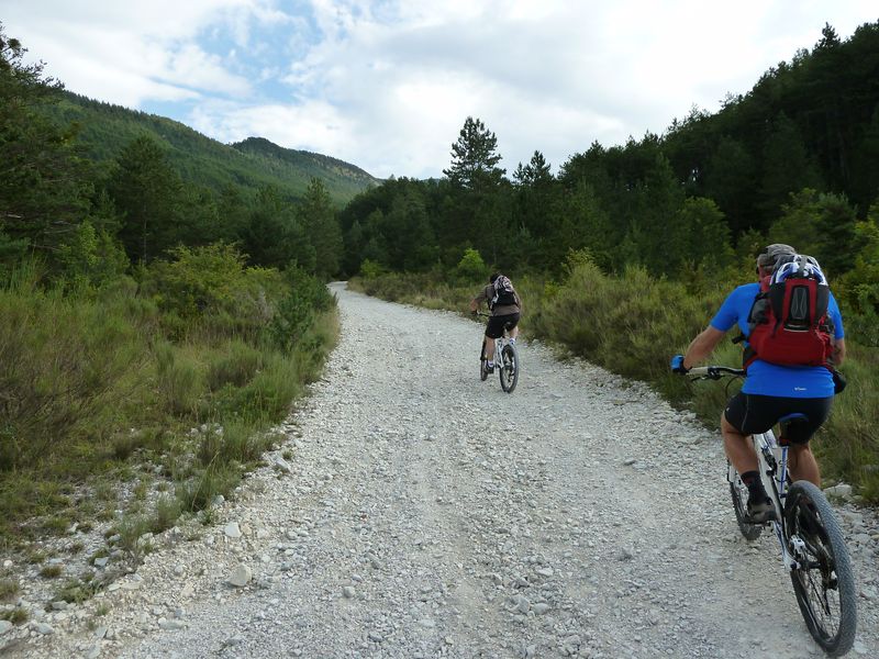 maurel_2011_013.jpg