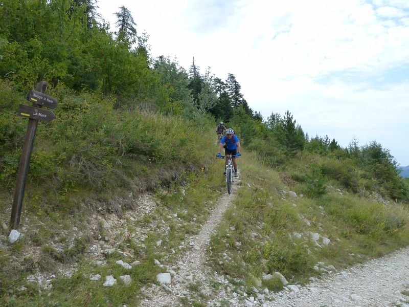 maurel_2011_041.jpg