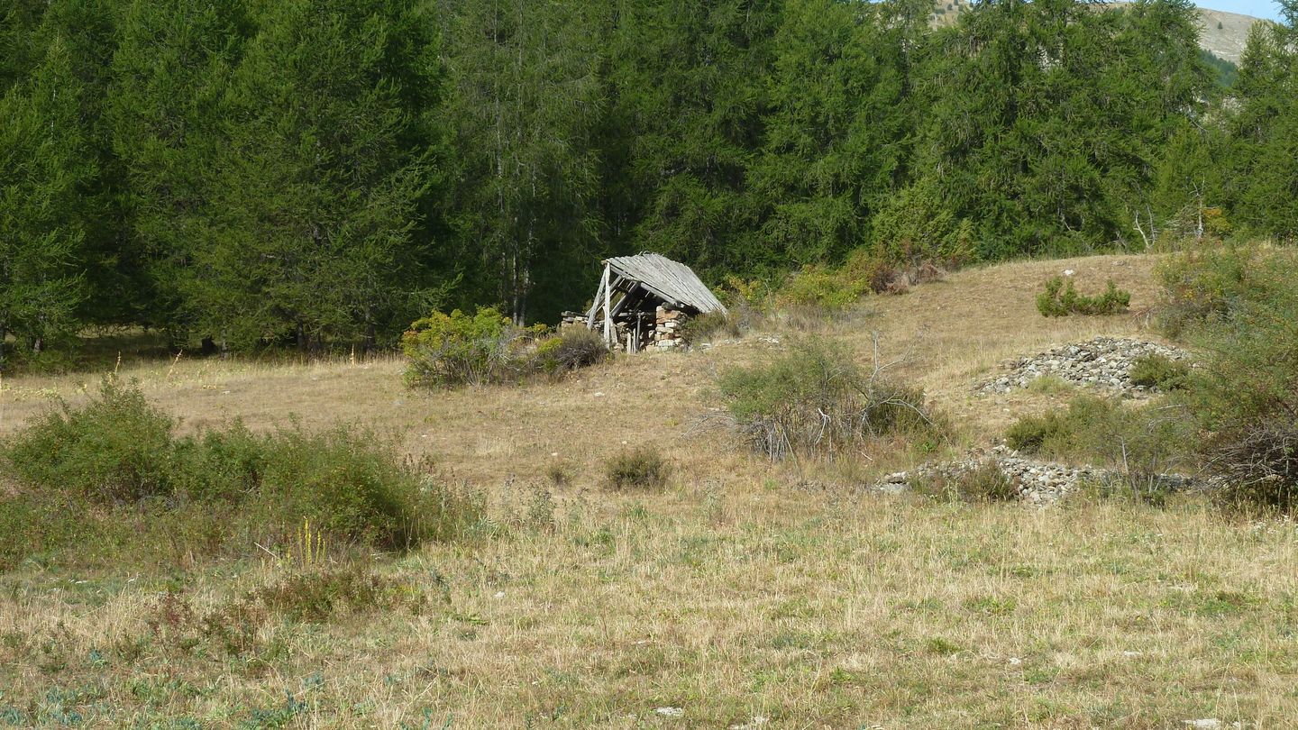 cabane_meyries_2017_100.JPG