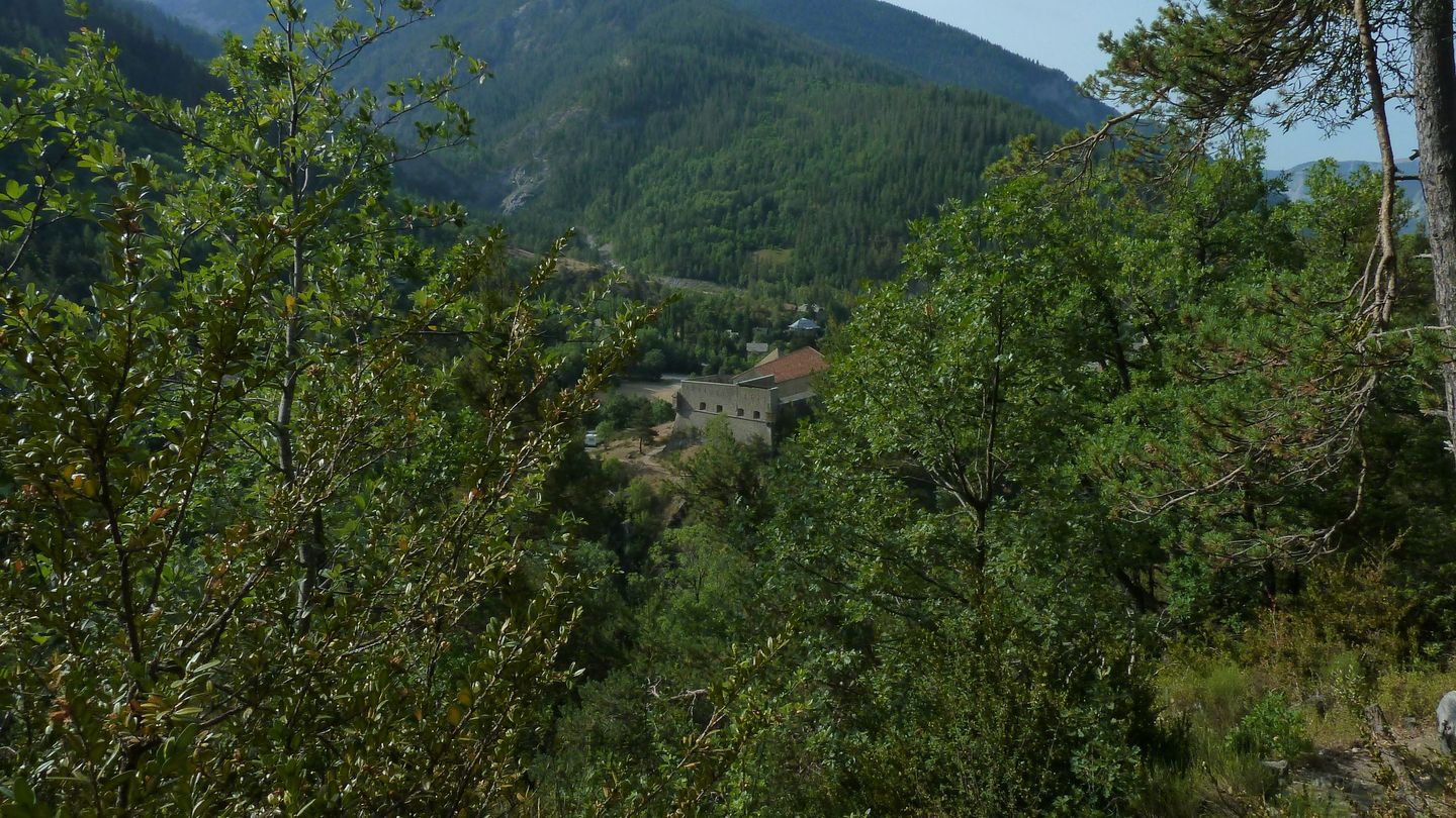 cabane_meyries_2017_190.JPG