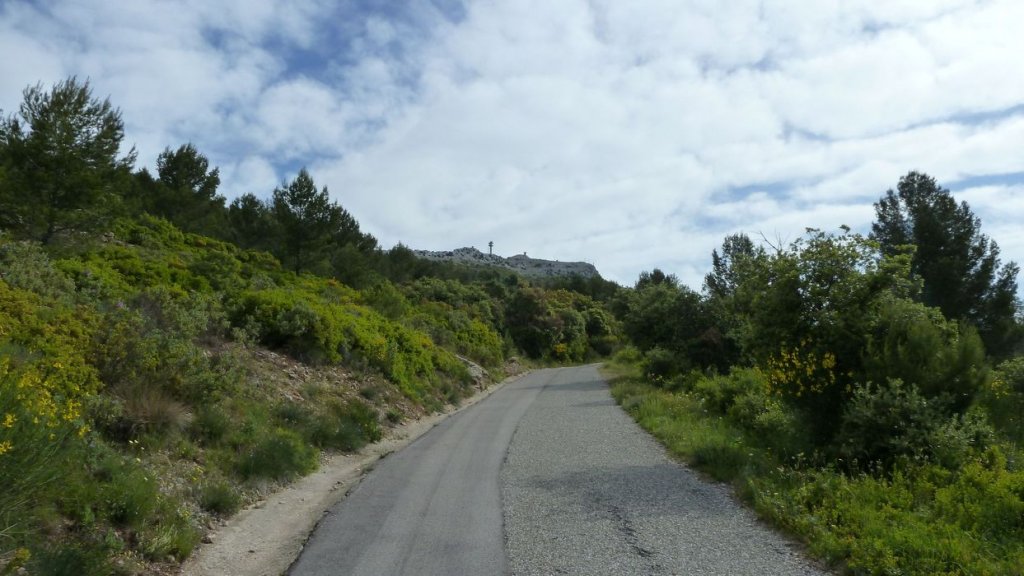 mont_caume_juin_2013_016.jpg