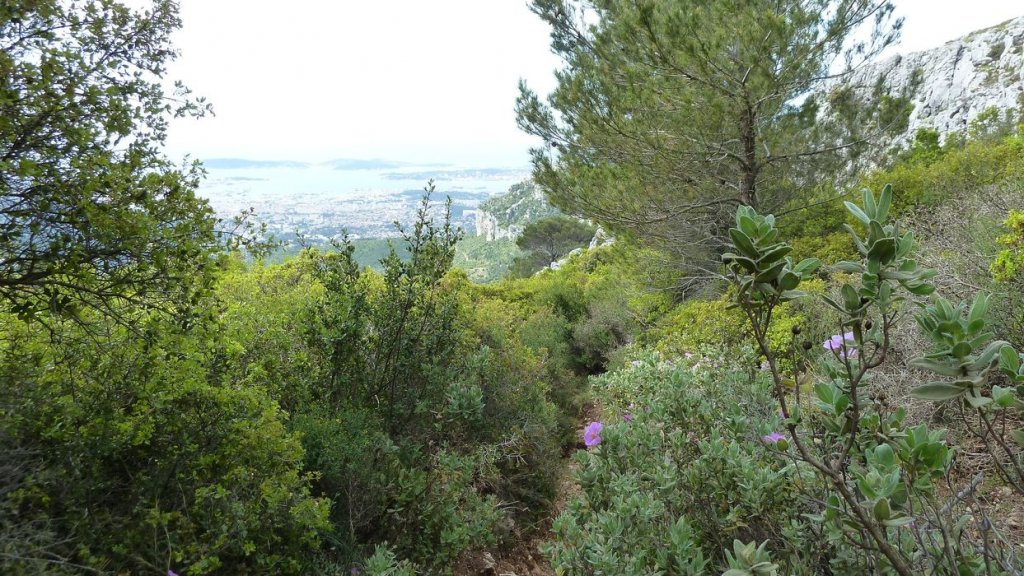 mont_caume_juin_2013_054.jpg