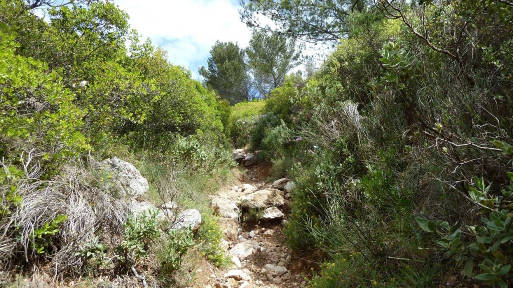 mont_caume_juin_2013_058.jpg