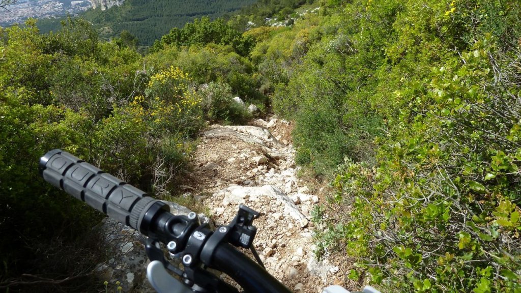 mont_caume_juin_2013_060.jpg