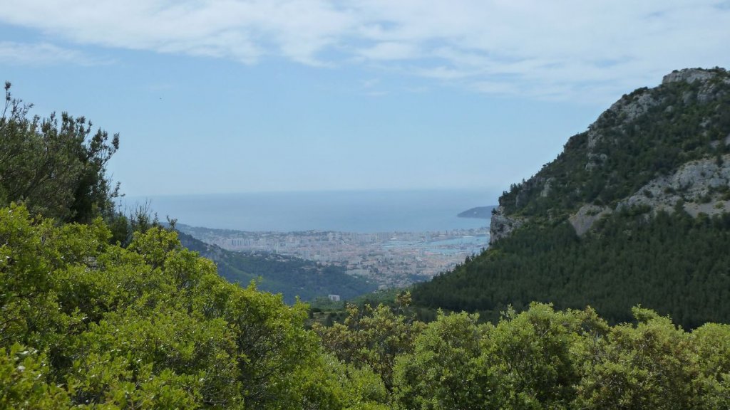 mont_caume_juin_2013_074.jpg
