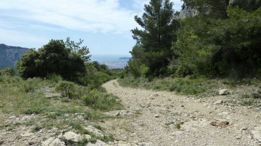 mont_caume_juin_2013_080.jpg