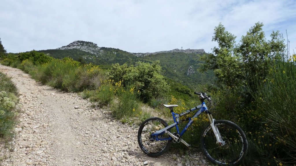 mont_caume_juin_2013_082.jpg