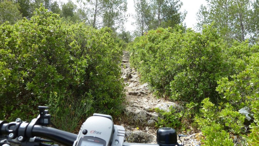 mont_caume_juin_2013_086.jpg