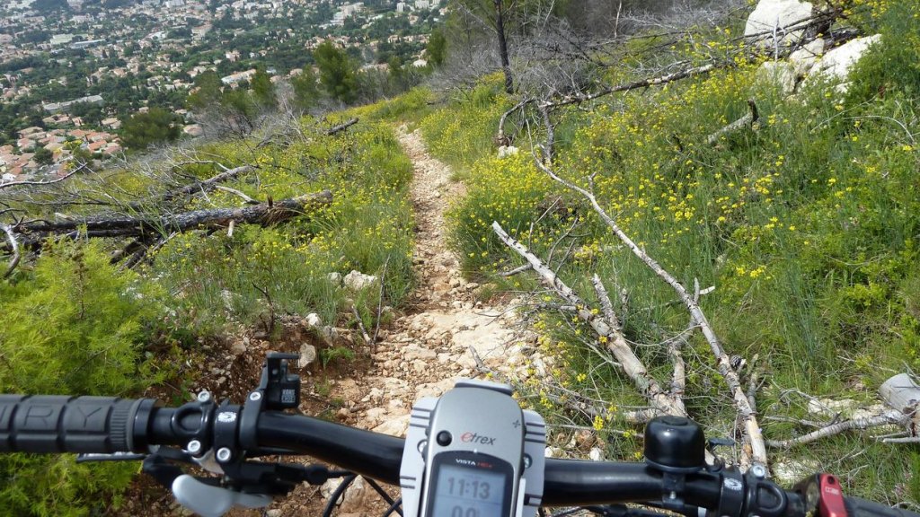 mont_caume_juin_2013_090.jpg