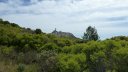 mont_caume_juin_2013_046.jpg