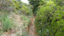 mont_caume_juin_2013_052.jpg