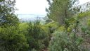 mont_caume_juin_2013_054.jpg