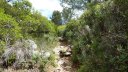 mont_caume_juin_2013_058.jpg