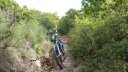 mont_caume_juin_2013_062.jpg