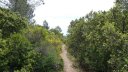 mont_caume_juin_2013_072.jpg