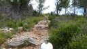 mont_caume_juin_2013_092.jpg