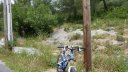 mont_caume_juin_2013_094.jpg