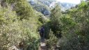 mont_marseillais_mars_2016_144.JPG
