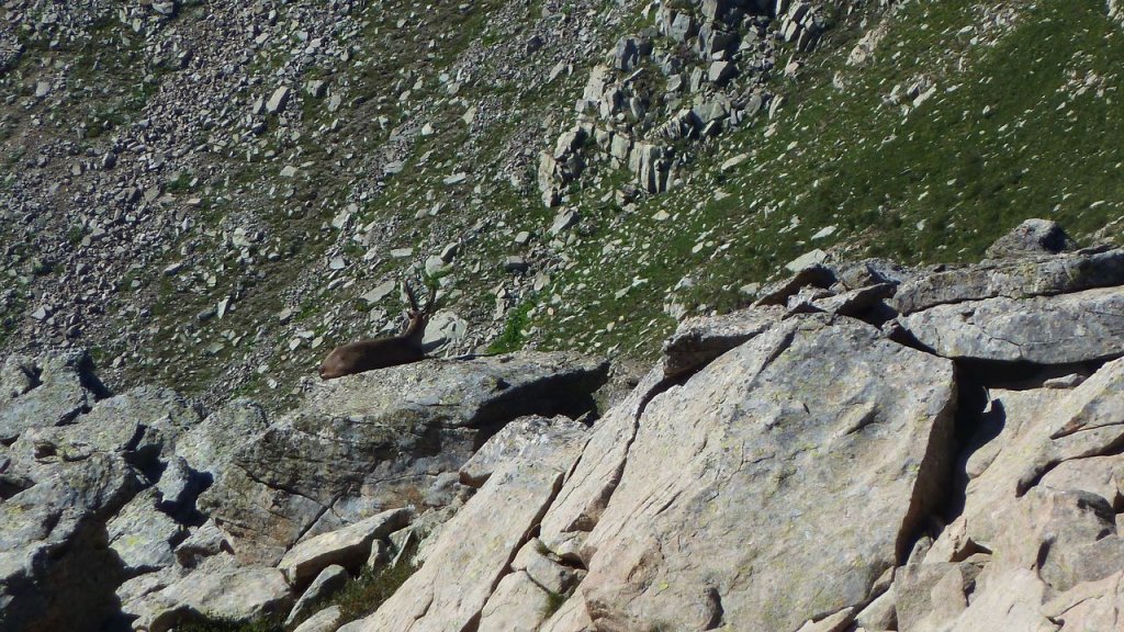 montagne_avalanche_juillet_2016_053.JPG