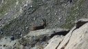 montagne_avalanche_juillet_2016_059.JPG