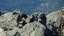 montagne_avalanche_juillet_2016_079.JPG
