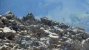 montagne_avalanche_juillet_2016_085.JPG