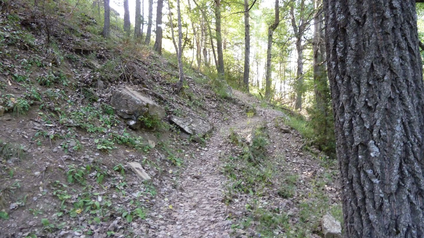 montgros_2017_016.JPG