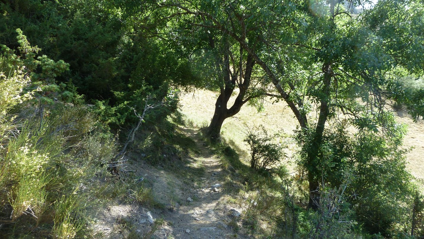 montgros_2017_028.JPG