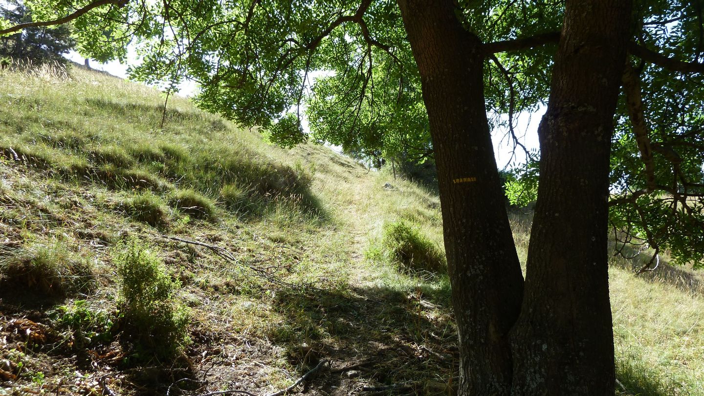montgros_2017_055.JPG