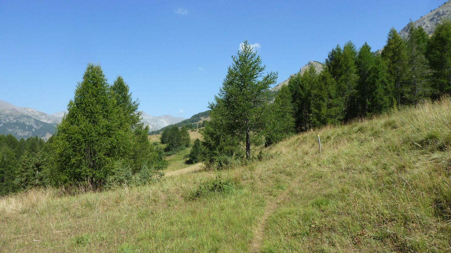 montgros_2017_082.JPG