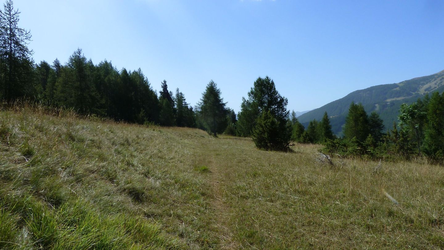 montgros_2017_085.JPG
