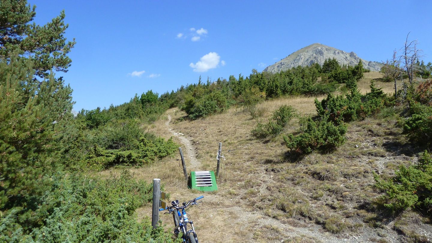 montgros_2017_103.JPG