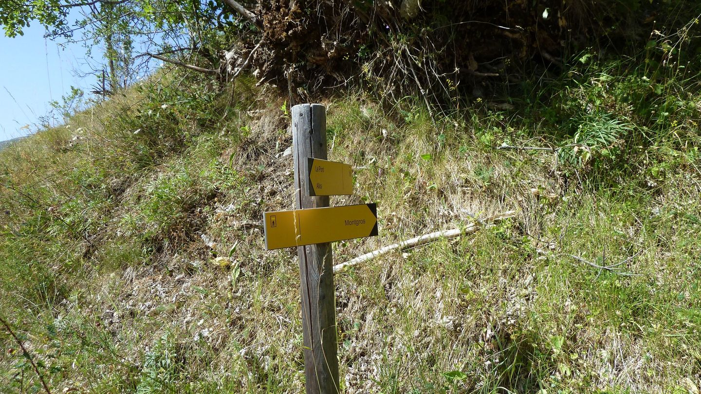 montgros_2017_124.JPG