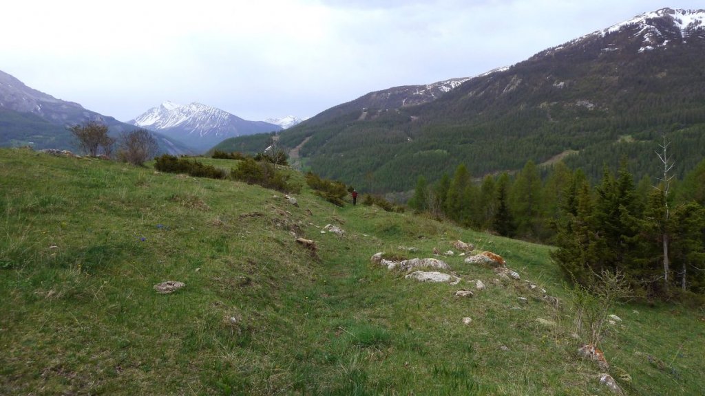 P1110504.JPG