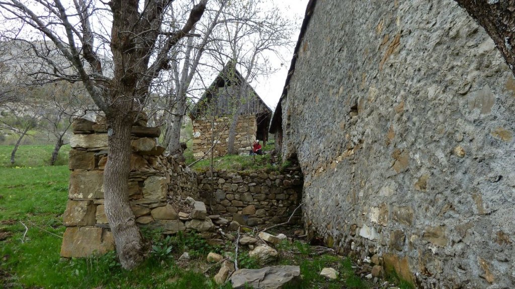 P1110514.JPG