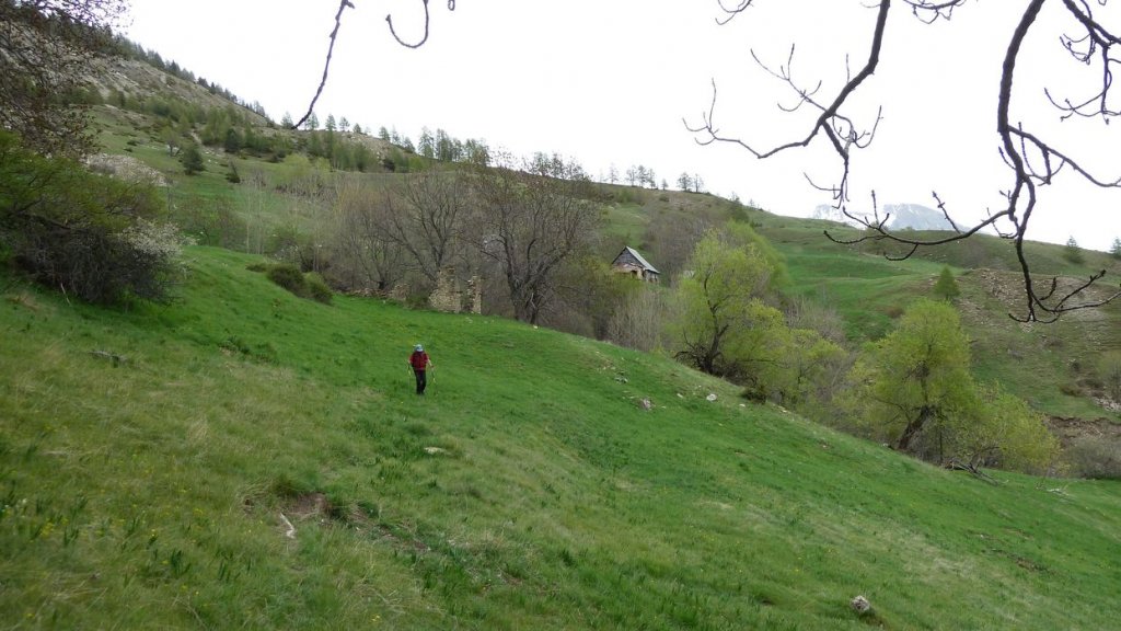P1110526.JPG