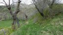 P1110506.JPG